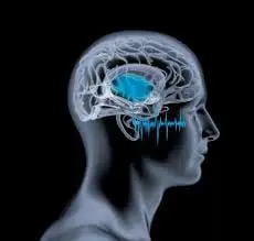 What is The Edison Wave ?